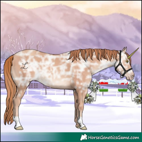 Horse Color:Gold Champagne Ice