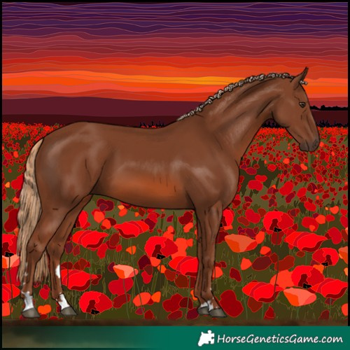 Horse Color:Chestnut 