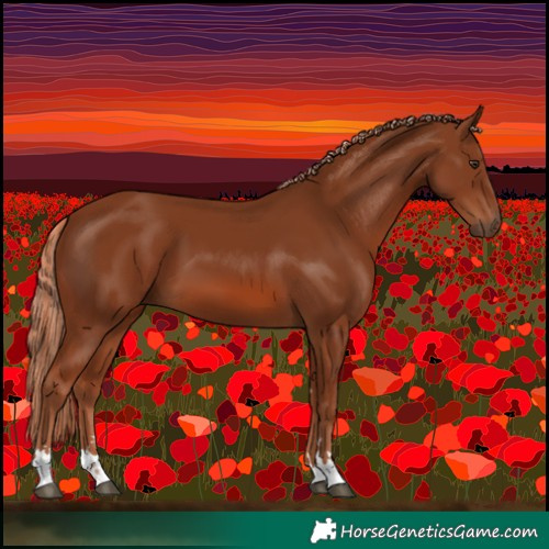 Horse Color:Chestnut 