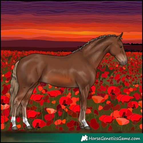 Horse Color:Chestnut 