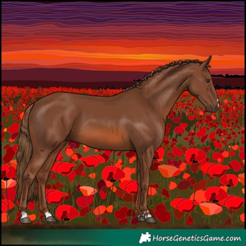 Horse Color:Chestnut 