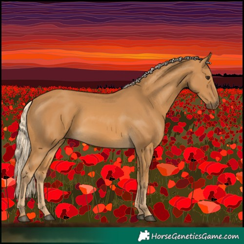 Horse Color:Palomino