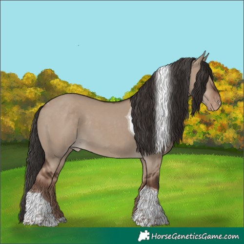 Horse Color:Liver Red Dun Tobiano Skewed LP Spotted
