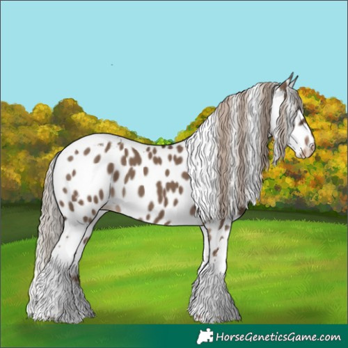 Horse Color:Liver Red Dun Tobiano Skewed LP Spotted