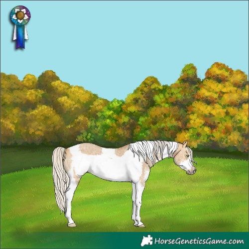 Horse Color:Silver Buckskin Dun Sabino Tobiano Frame