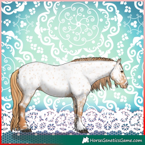 Horse Color:Red Dun Appaloosa and Red Dun Appaloosa