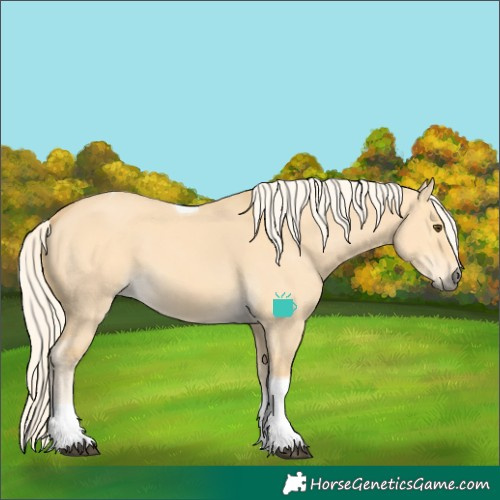 Horse Color:Palomino Dun Tobiano