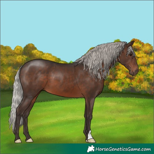Horse Color:Silver Brown 