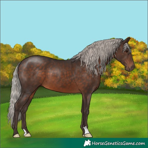 Horse Color:Silver Brown