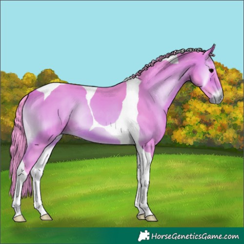 Horse Color:Watercolor Brown Onyx Tobiano