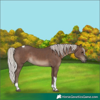 Horse Color:Silver Black Tobiano