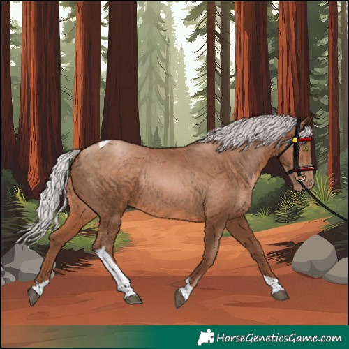 Horse Color:Unknown 