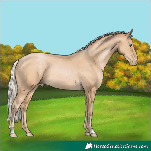 Horse Color:Silver Buckskin Pearl