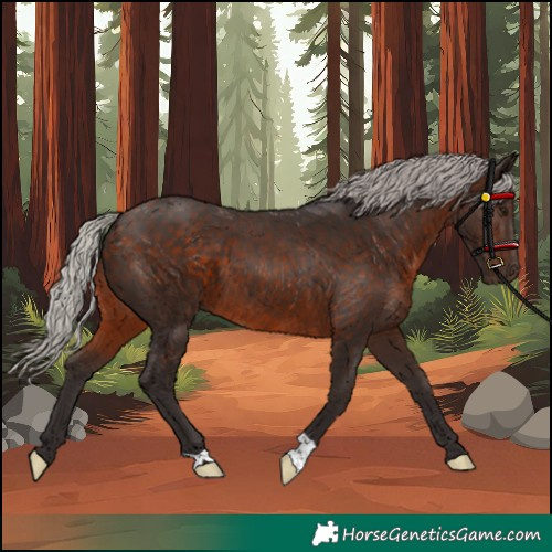 Horse Color:Silver Brown 