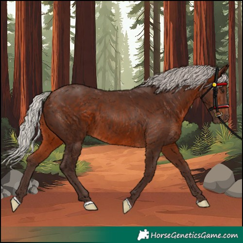 Horse Color:Silver Bay