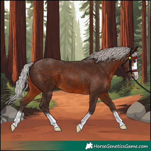 Horse Color:Silver Brown