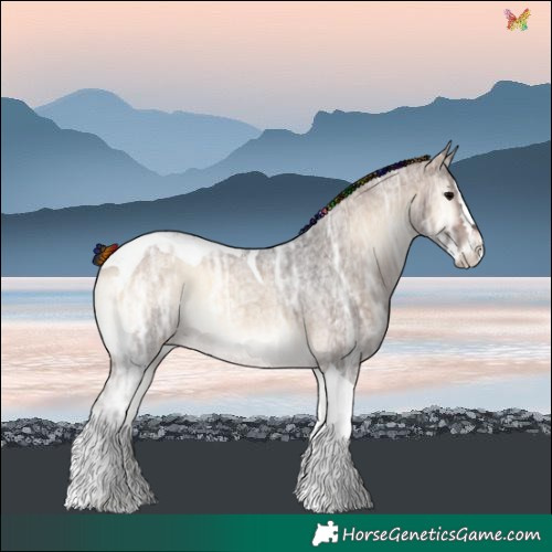 Horse Color:Painted Brown Ice Roan Onyx Splash Tobiano 