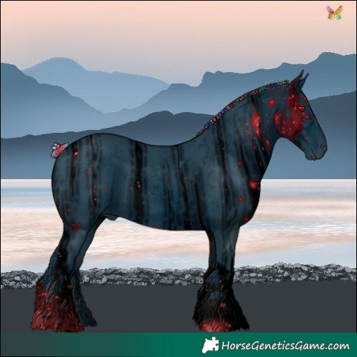 Horse Color:ERROR: UNKNOWN ANOMALY