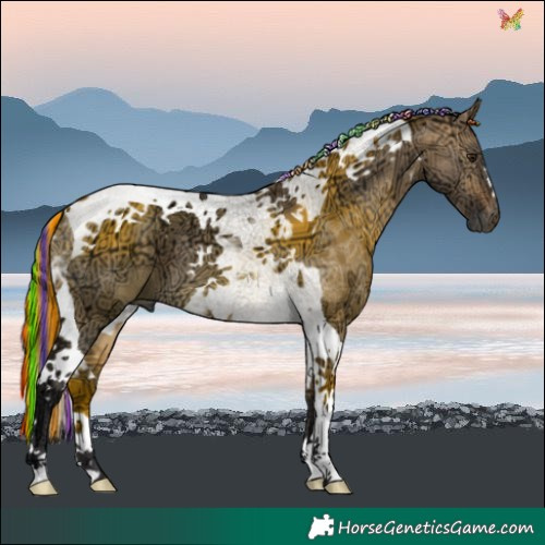 Horse Color:Painted Buckskin Ice Dun Tobiano
