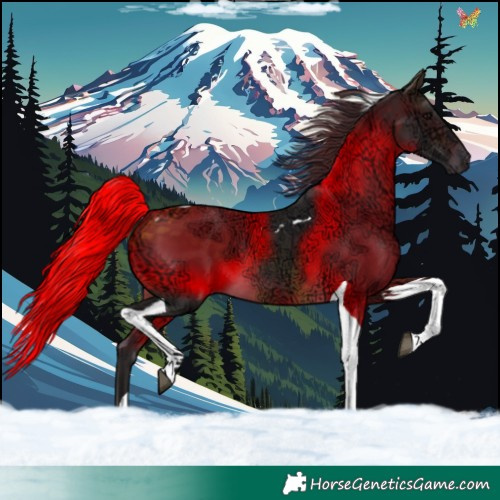 Horse Color:Buckskin Ice Tobiano 