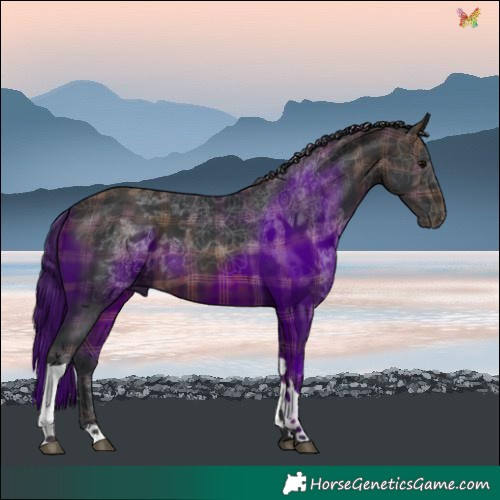 Horse Color:Plaid  Brown Tobiano 