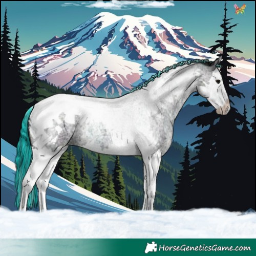 Horse Color:Painted Midnight Blue Ice Roan Splash Tobiano