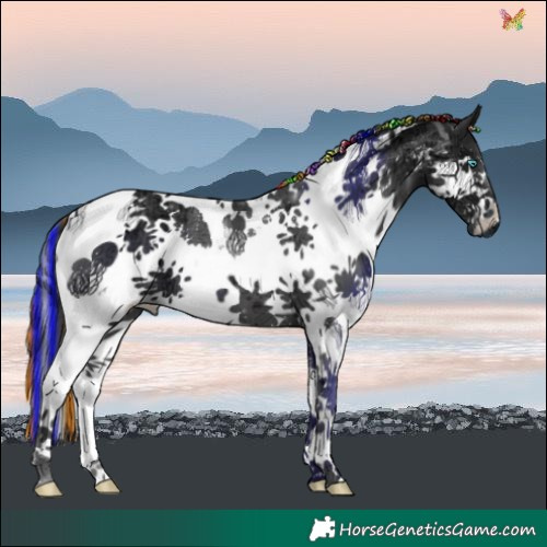 Horse Color:Painted Black Ice Splash Tobiano 