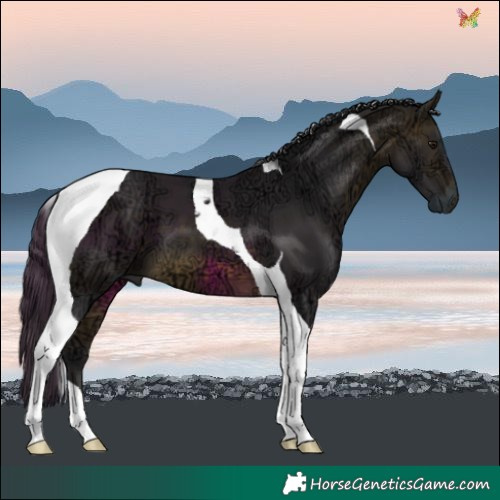 Horse Color:Buckskin Ice Tobiano 