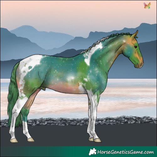 Horse Color:Watercolor Buckskin Tobiano