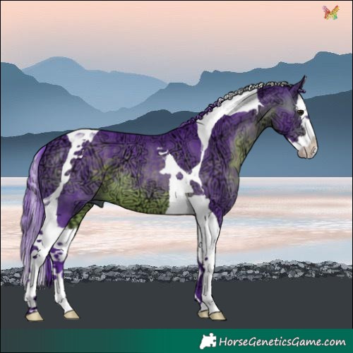 Horse Color:Watercolor Brown Ice Splash Tobiano 