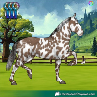 Horse Color:Liver Red Dun Skewed LP Spotted 