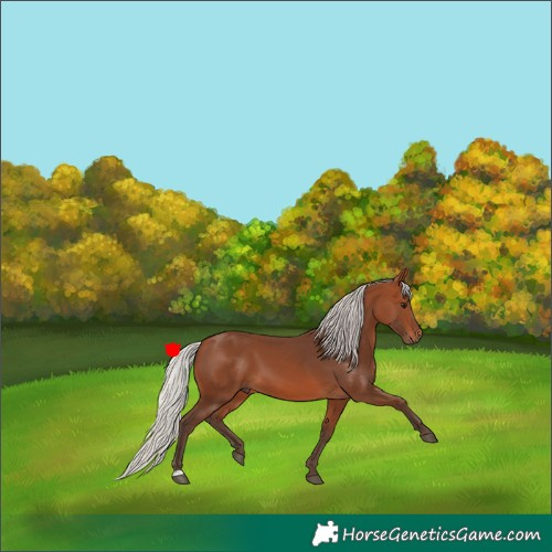 Horse Color:Silver Brown