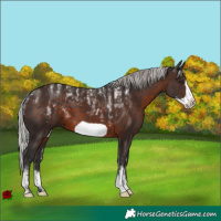 Horse Color:Powder White Silver Brown Frame 