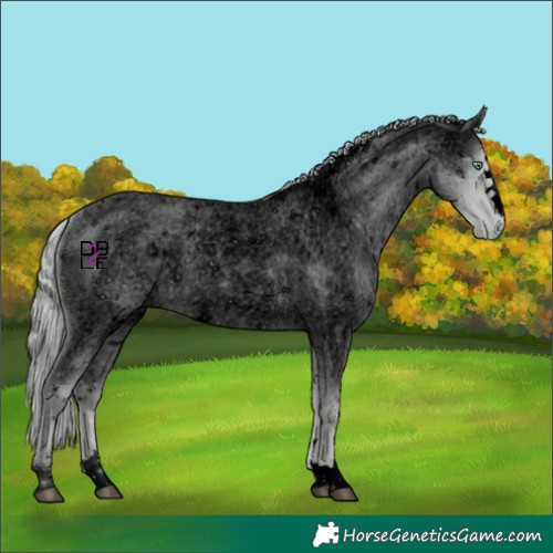 Horse Color:ERROR: UNKNOWN ANOMALY