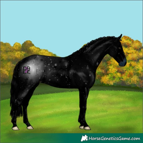 Horse Color:ERROR: UNKNOWN ANOMALY