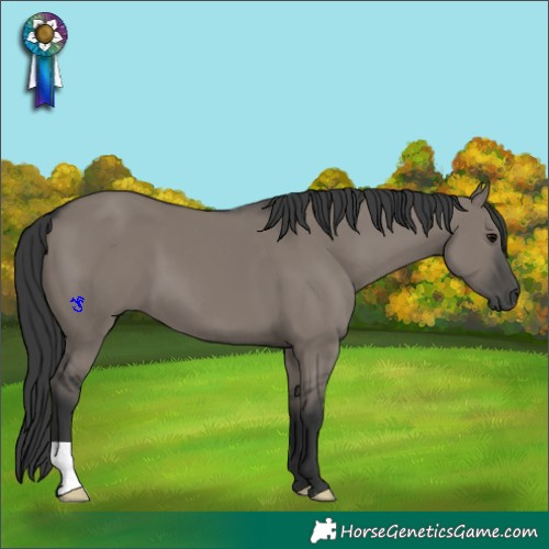 Horse Color:Grullo