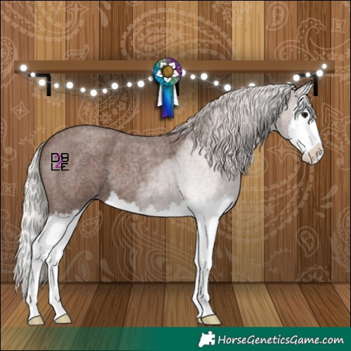 Horse Color:Silver Blue Roan Mushroom Splash