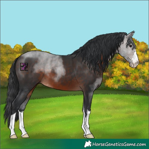 Horse Color:Brown Mushroom 