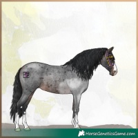 Horse Color:Bay Roan Mushroom 