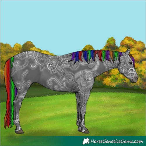 Horse Color:Painted Black Ice