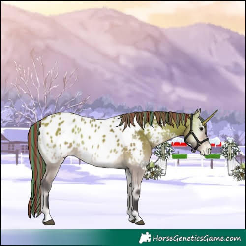 Horse Color:Painted Buckskin Onyx Appaloosa