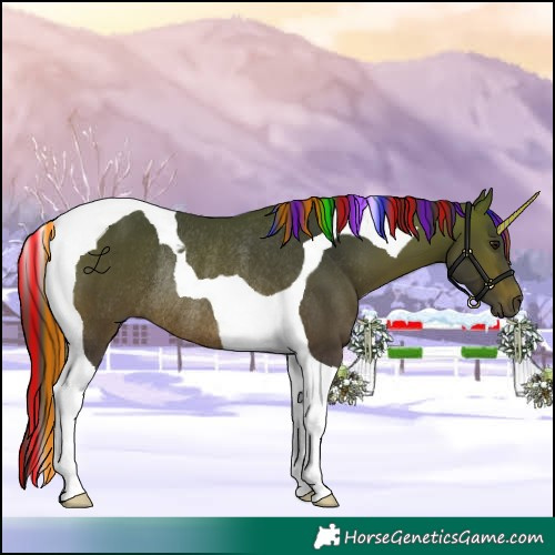Horse Color:Painted Bay Tobiano Rabicano 