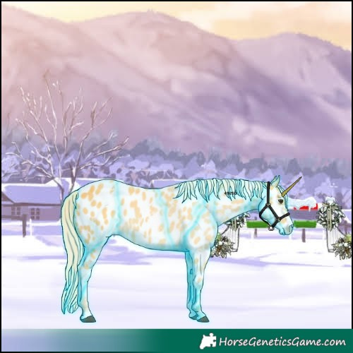 Horse Color:Thunderstruck Palomino Appaloosa