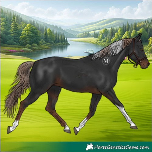 Horse Color:Liver Chestnut Tobiano 