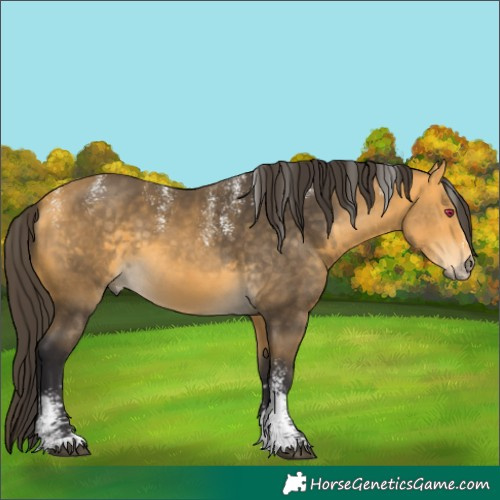 Horse Color:Powder White Buckskin