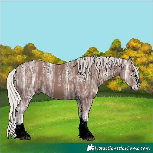 Horse Color:Powder White White Spotted Silver Black Ice 