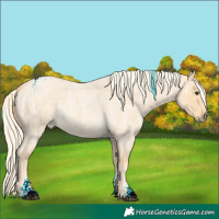 Horse Color:Powder White Palomino Ice Roan