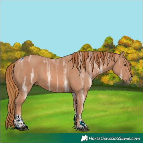Horse Color:Powder White Chestnut Ice