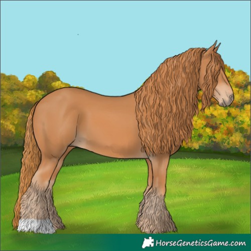 Horse Color:Chestnut 