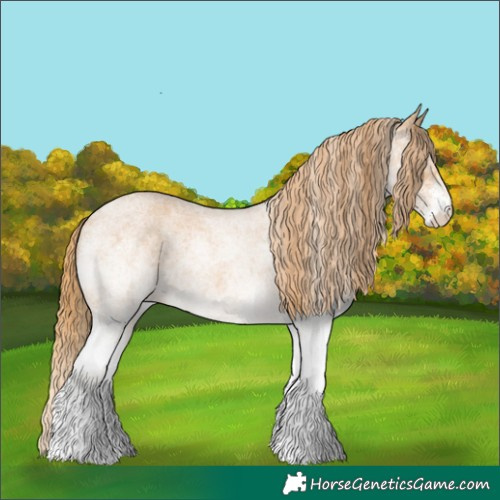 Horse Color:White Spotted Red Roan 